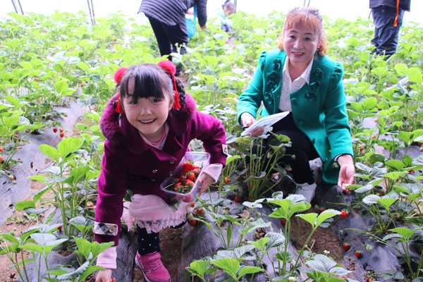 相约春天 绽放亲情